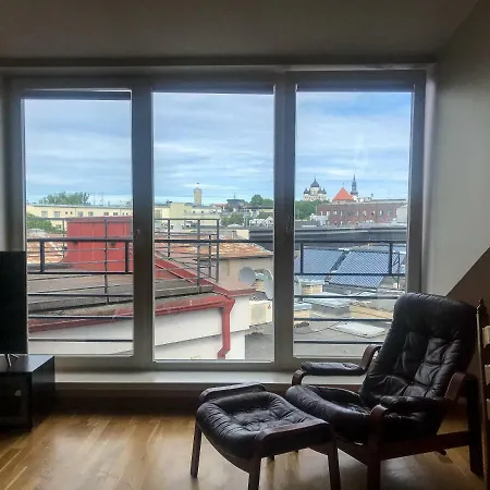 Luxury Penthouse With Sauna And Terrace דירה